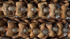 thumb1.jpg