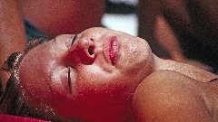 thumb1.jpg
