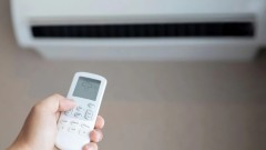 thumb1.jpg