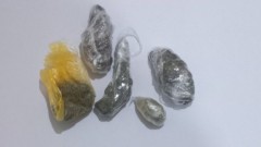 thumb1.jpg