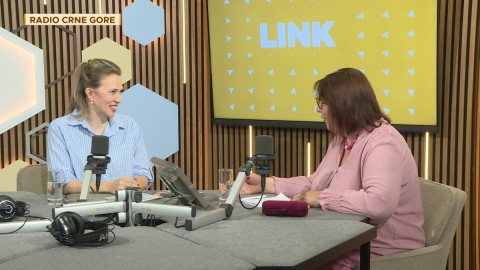 Link 26.06.2025 thumb2.jpg