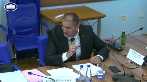 Šćepanović: Policija blagovremeno djelovala u slučaju Danila Mandića thumb2.jpg