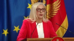 Despotović: Dok tužilaštvo progoni političke neistomišljenike vlasti, ispod radara prolazi neozbiljnost Jokovićevog resora thumb1.jpg