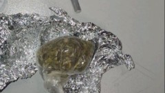 thumb1.jpg