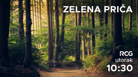 Zelena priča thumb2.jpg