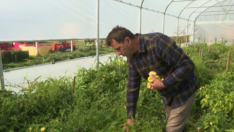 Pogledi iz domovine 26.10.2025 thumb2.jpg