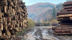 Građani bez ogrijeva, koncesionar trlja ruke thumb1.jpg