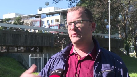 Zelena priča thumb2.jpg