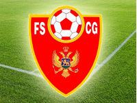 fscg20logo10.jpg