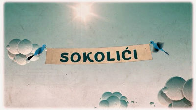 1056330_sokolicijpg