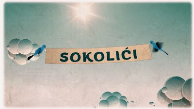 1065563_sokolicijpg