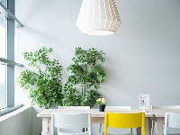 ikea-40482251920.jpg