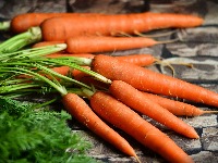 carrots-23873941920.jpg