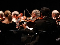 orchestra-20988771280.jpg