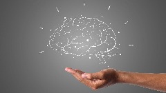 brain-g01be2e74e1920.jpg