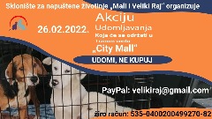 received348772423806815.jpeg